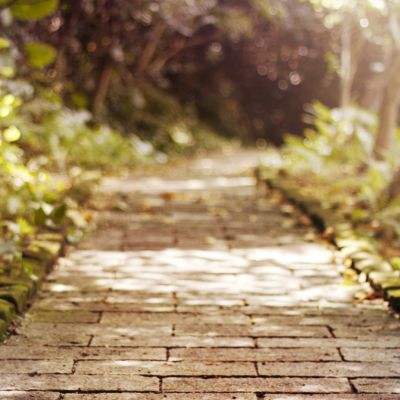 开元棋下载app官方版